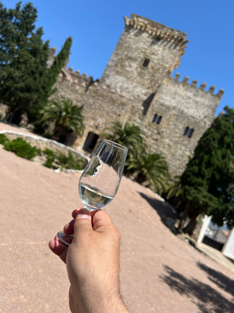 cata de vinos
