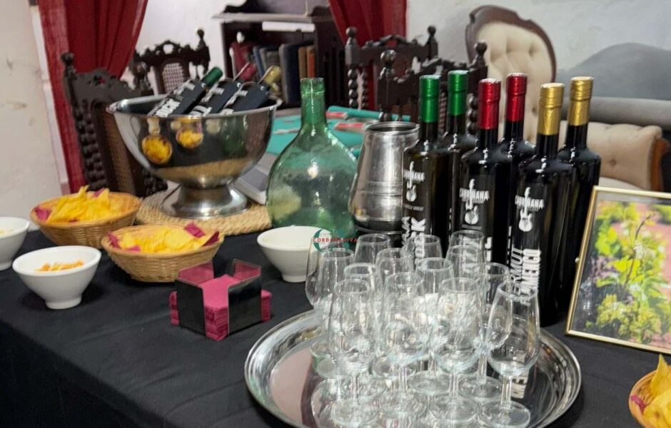 castillo ducal de espejo en cordoba