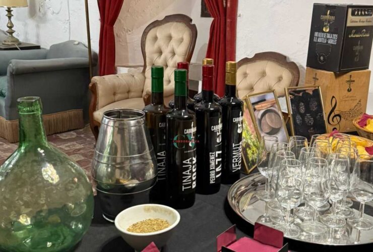 castillo ducal de espejo en cordoba