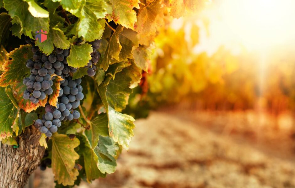 castillo ducal de espejo cordoba