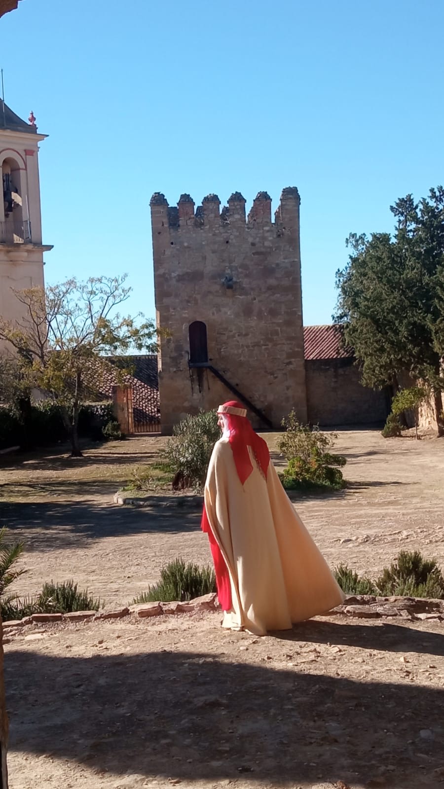 castillo ducal de espejo